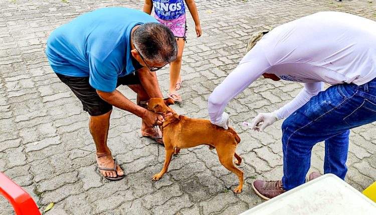 SEMAC divulga cronograma de vacinação antirrábica na zona rural de Porto Seguro